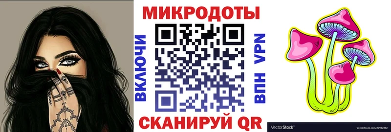 Галлюциногенные грибы Psilocybe Черногорск