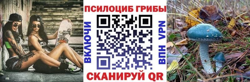 Галлюциногенные грибы прущие грибы  hydra маркетплейс  Черногорск  как найти наркотики 