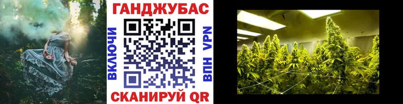 закладка  Черногорск  Бошки марихуана сатива 